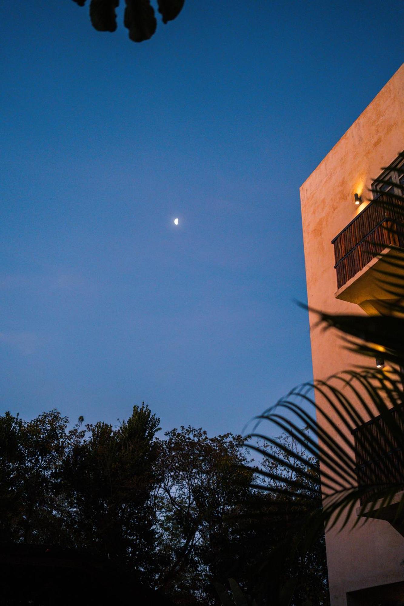 Hotel Botanica Tulum Exterior foto